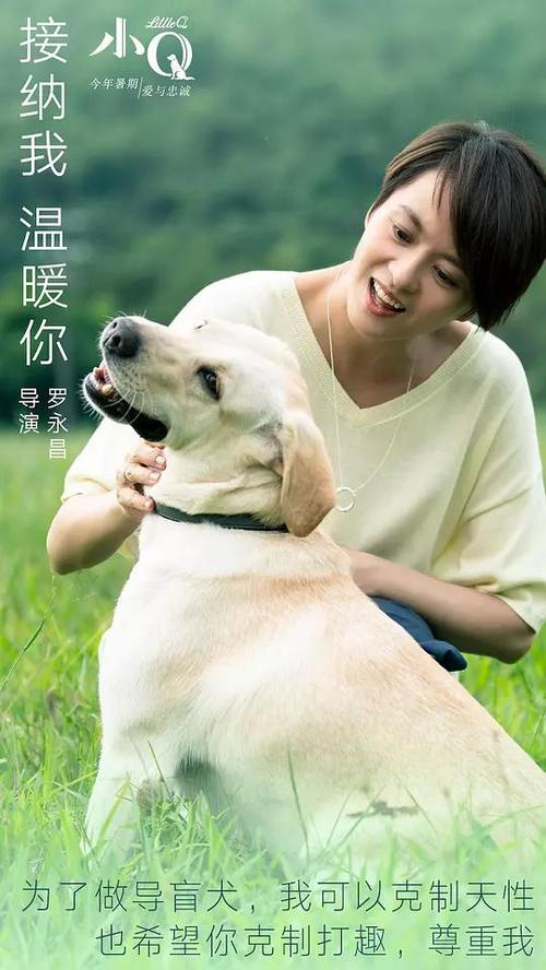 本科生没有取得学位证